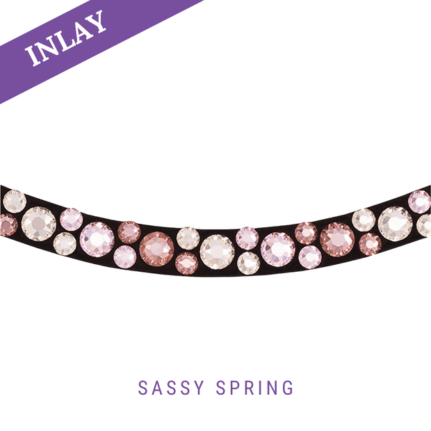 Sassy Spring Inlay Swing